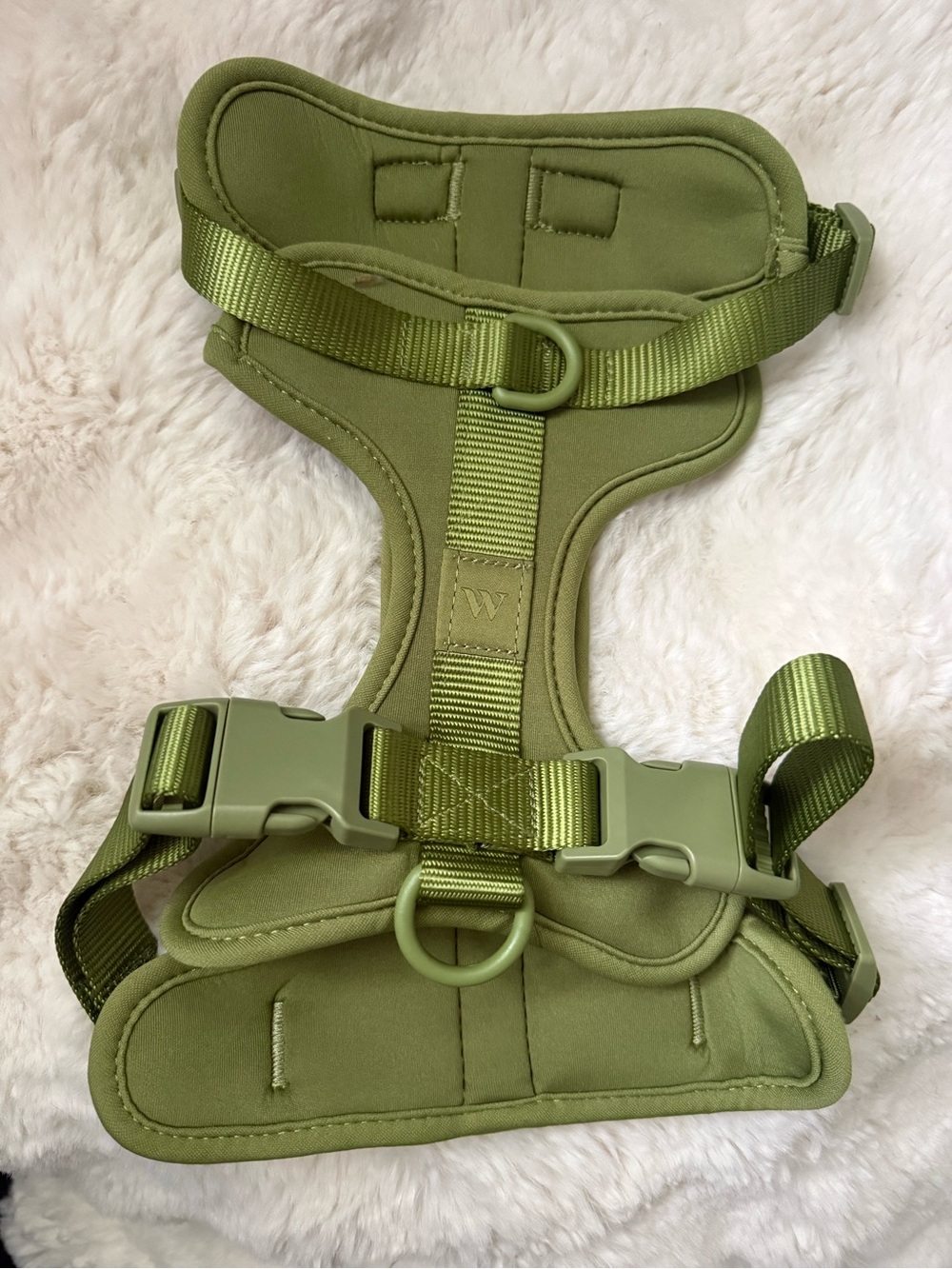 Wild One Green Padded No-Pull Dog Harness with Front and Back D-Rings